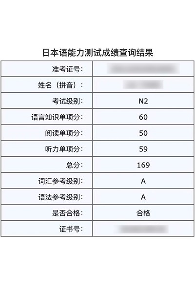 N5合格证书，得分169